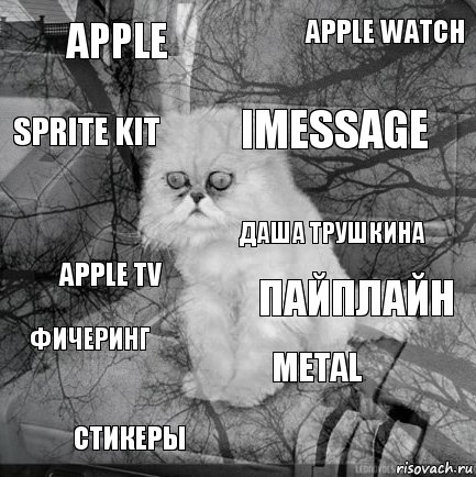 Apple пайплайн iMessage стикеры Apple TV Apple Watch Metal Sprite Kit фичеринг Даша Трушкина, Комикс  кот безысходность