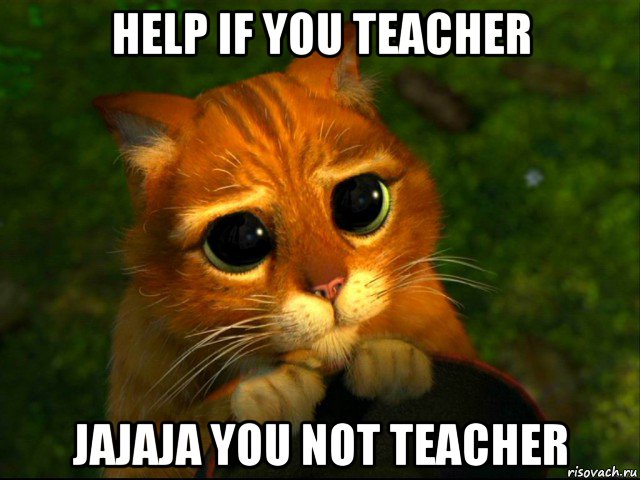 help if you teacher jajaja you not teacher, Мем кот из шрека