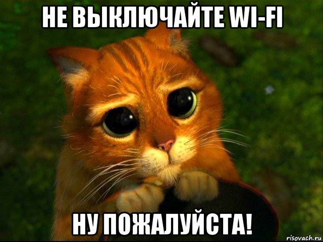 не выключайте wi-fi ну пожалуйста!, Мем кот из шрека