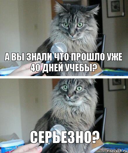 А вы знали что прошло уже 40 дней учебы? Серьезно?, Комикс  кот с микрофоном