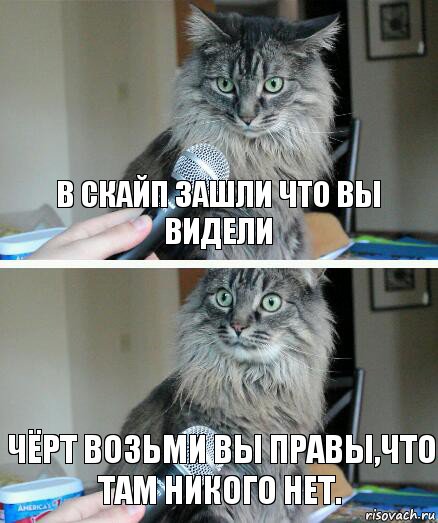 в скайп зашли что вы видели чёрт возьми вы правы,что там никого нет., Комикс  кот с микрофоном