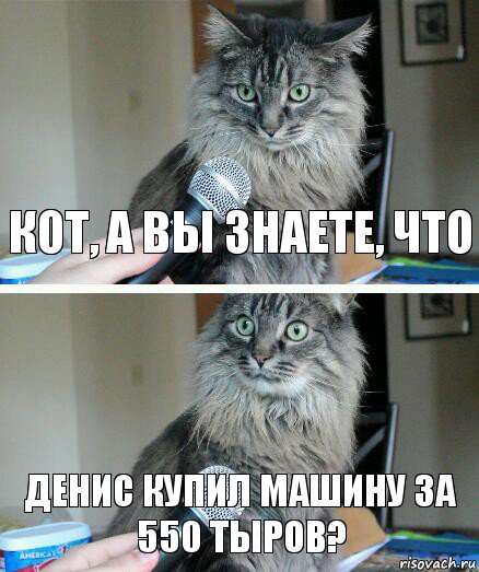 Кот, а Вы знаете, что Денис купил машину за 550 тыров?, Комикс  кот с микрофоном
