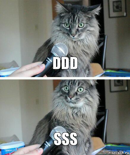 ddd sss, Комикс  кот с микрофоном