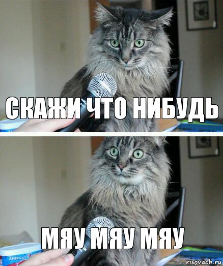 скажи что нибудь Мяу Мяу МяУ, Комикс  кот с микрофоном