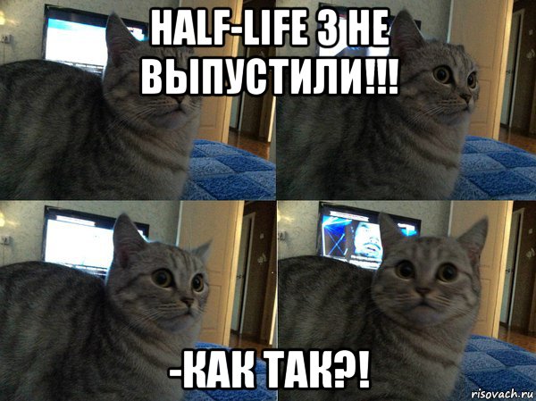half-life 3 не выпустили!!! -как так?!, Мем  Кот в шоке
