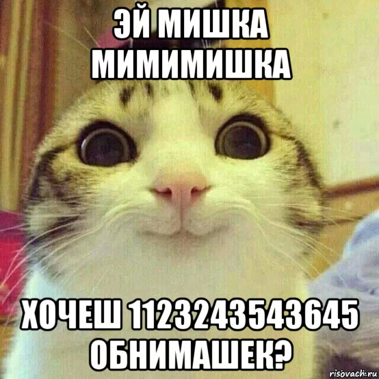 эй мишка мимимишка хочеш 1123243543645 обнимашек?, Мем       Котяка-улыбака