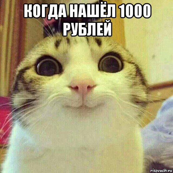 когда нашёл 1000 рублей , Мем       Котяка-улыбака