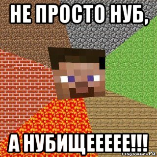 не просто нуб, а нубищеееее!!!, Мем Миникрафтер