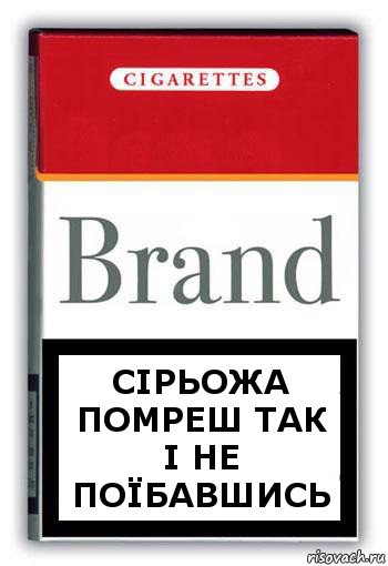 СІРЬОЖА ПОМРЕШ ТАК І НЕ ПОЇБАВШИСЬ, Комикс Минздрав