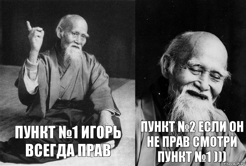 Пункт №1 Игорь всегда прав Пункт №2 Если он не прав смотри пункт №1 ))), Комикс Мудрец-монах (2 зоны)