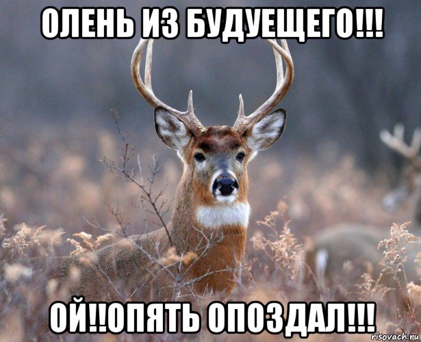 олень из будуещего!!! ой!!опять опоздал!!!, Мем   Наивный олень