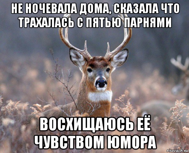 не ночевала дома, сказала что трахалась с пятью парнями восхищаюсь её чувством юмора