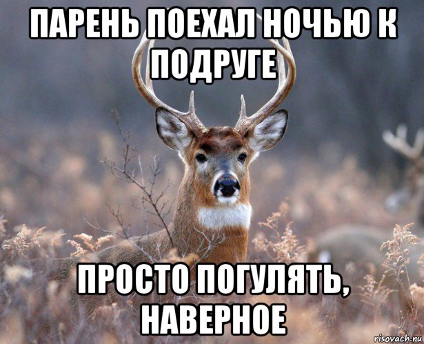 парень поехал ночью к подруге просто погулять, наверное, Мем   Наивный олень