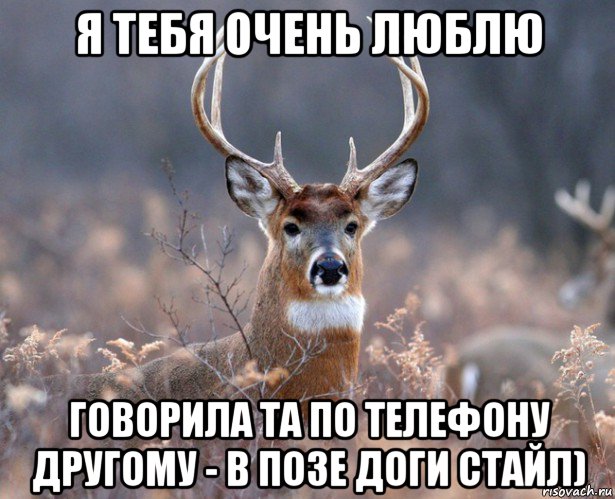 я тебя очень люблю говорила та по телефону другому - в позе доги стайл), Мем   Наивный олень