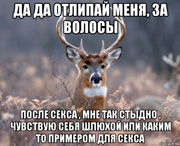 да да отлипай меня, за волосы после секса , мне так стыдно , чувствую себя шлюхой или каким то примером для секса, Мем   Наивный олень