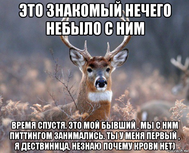 это знакомый нечего небыло с ним время спустя. это мой бывший , мы с ним питтингом занимались. ты у меня первый , я дествиница, незнаю почему крови нет), Мем   Наивный олень