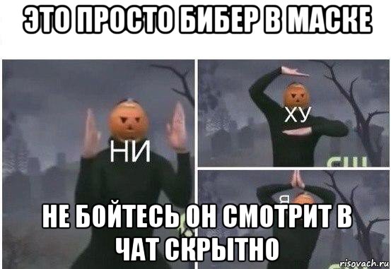 это просто бибер в маске не бойтесь он смотрит в чат скрытно, Мем  Ни ху Я