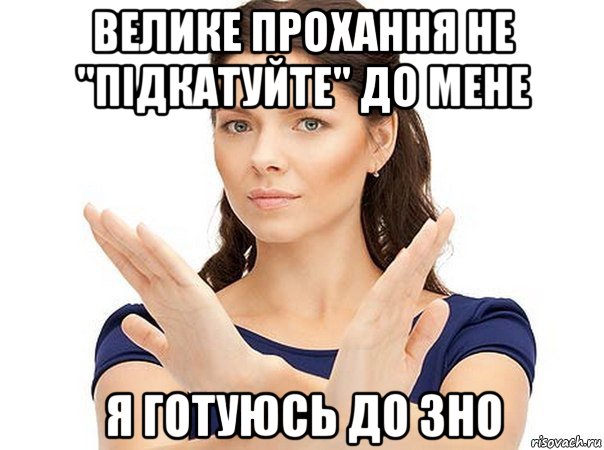 велике прохання не ''підкатуйте'' до мене я готуюсь до зно, Мем Огромная просьба