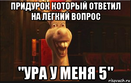 придурок который ответил на легкий вопрос "ура у меня 5", Мем Осел из Шрека