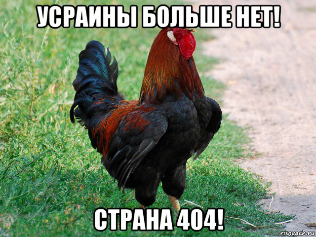 усраины больше нет! страна 404!, Мем петух