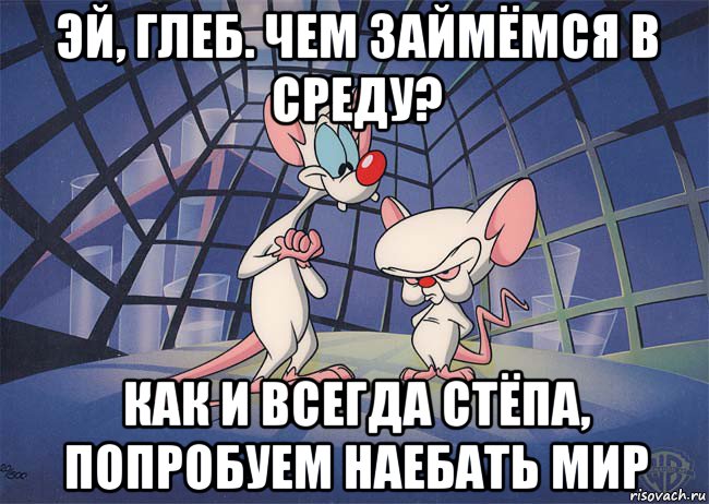 эй, глеб. чем займёмся в среду? как и всегда стёпа, попробуем наебать мир, Мем ПИНКИ И БРЕЙН