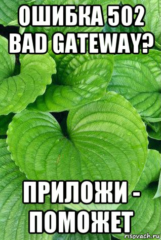 Мем Про Подорожник