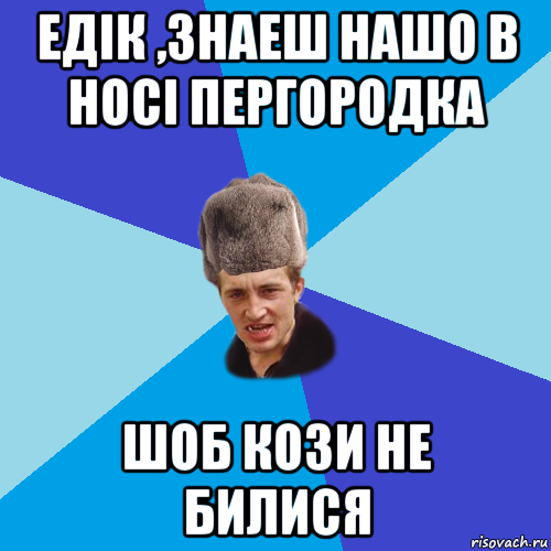 едік ,знаеш нашо в носі пергородка шоб кози не билися, Мем Празднчний паца