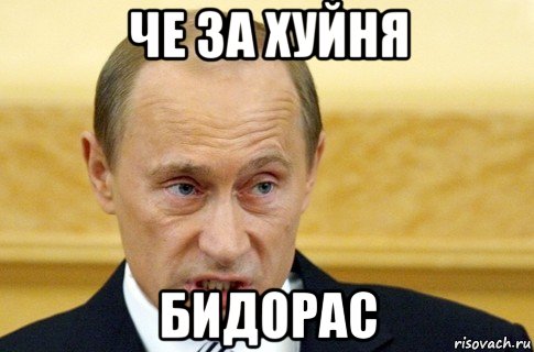 че за хуйня бидорас, Мем путин