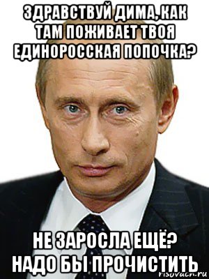 здравствуй дима, как там поживает твоя единоросская попочка? не заросла ещё? надо бы прочистить, Мем Путин