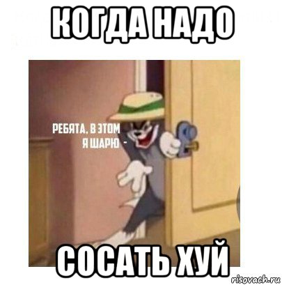 когда надо сосать хуй, Мем Ребята я в этом шарю