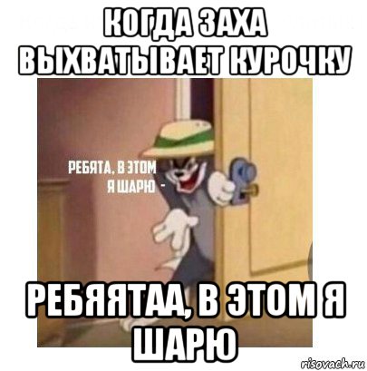 когда заха выхватывает курочку ребяятаа, в этом я шарю, Мем Ребята я в этом шарю