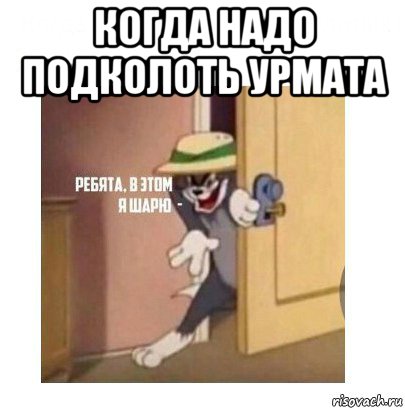 когда надо подколоть урмата , Мем Ребята я в этом шарю