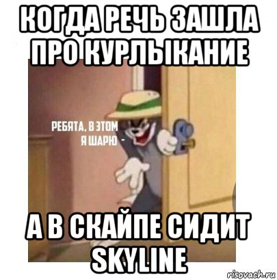 когда речь зашла про курлыкание а в скайпе сидит skyline, Мем Ребята я в этом шарю