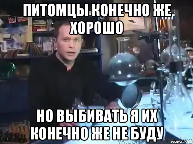 питомцы конечно же хорошо но выбивать я их конечно же не буду, Мем Сильное заявление