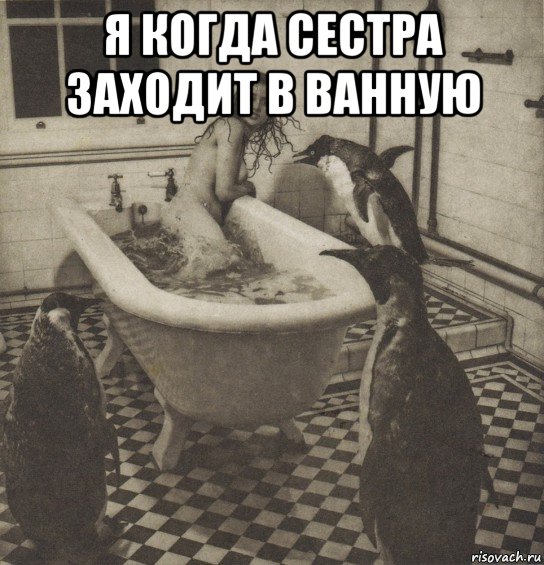 Сестра после ванной. Ванная Мем. Мемы про ванну. Мемы про ванную комнату. Мемы в ванной.