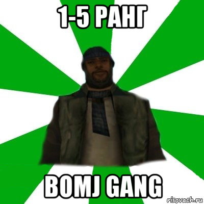 1-5 ранг bomj gang, Мем   Типичный Бомж SAMP
