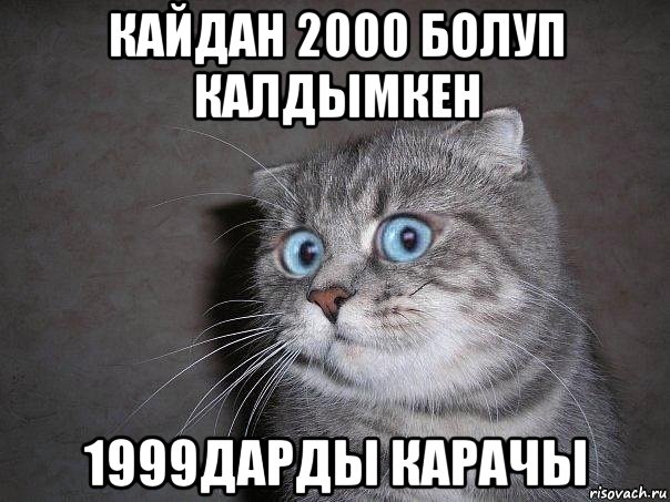 кайдан 2000 болуп калдымкен 1999дарды карачы, Мем  удивлённый кот