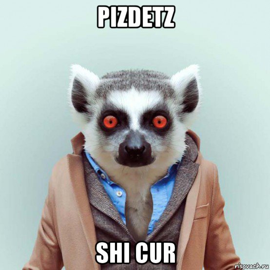 pizdetz shi cur, Мем укуренный лемур