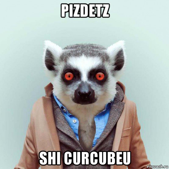 pizdetz shi curcubeu, Мем укуренный лемур