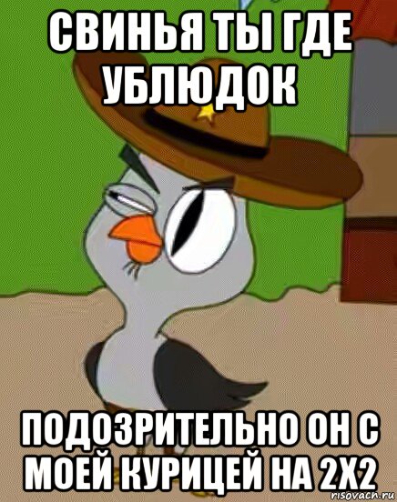 свинья ты где ублюдок подозрительно он с моей курицей на 2х2, Мем    Упоротая сова