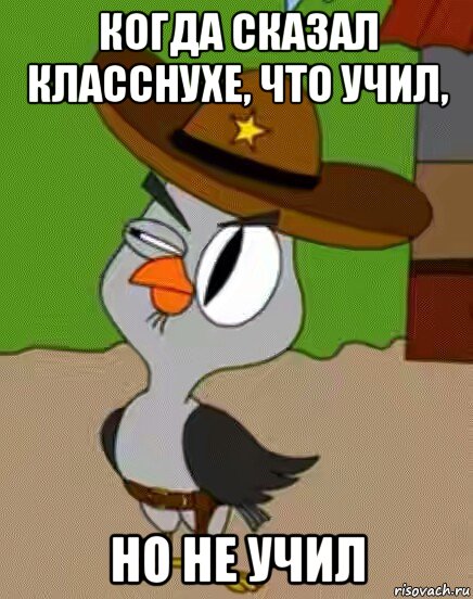 когда сказал класснухе, что учил, но не учил, Мем    Упоротая сова