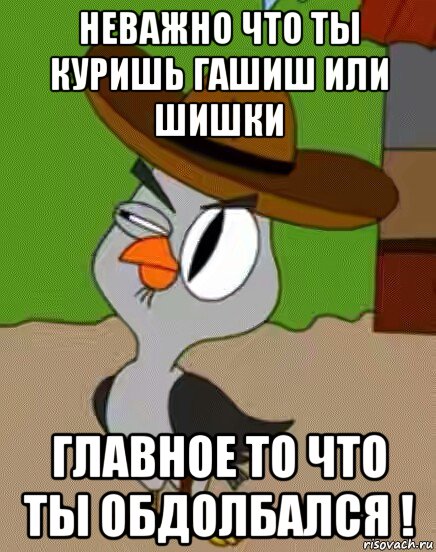 неважно что ты куришь гашиш или шишки главное то что ты обдолбался !, Мем    Упоротая сова