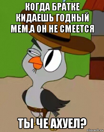 когда братке кидаешь годный мем,а он не смеется ты че ахуел?, Мем    Упоротая сова