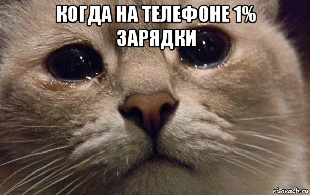 когда на телефоне 1% зарядки , Мем   В мире грустит один котик