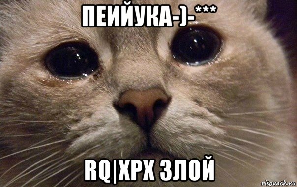 пеийука-)-*** rq|xpx злой, Мем   В мире грустит один котик