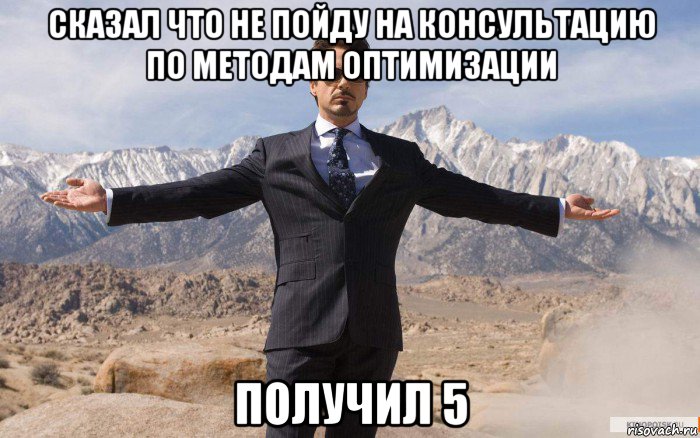 сказал что не пойду на консультацию по методам оптимизации получил 5, Мем железный человек