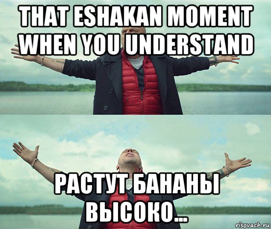 that eshakan moment when you understand растут бананы высоко..., Мем Безлимитище