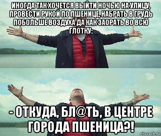 Выйду в пол. Хочется выйти в поле провести рукой по пшенице. Хочется выйти ночью на улицу провести рукой по пшенице. Хочется выйти на улицу провести рукой по пшенице. Откуда в центре города пшеница.