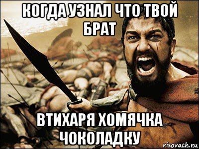 когда узнал что твой брат втихаря хомячка чоколадку, Мем Это Спарта