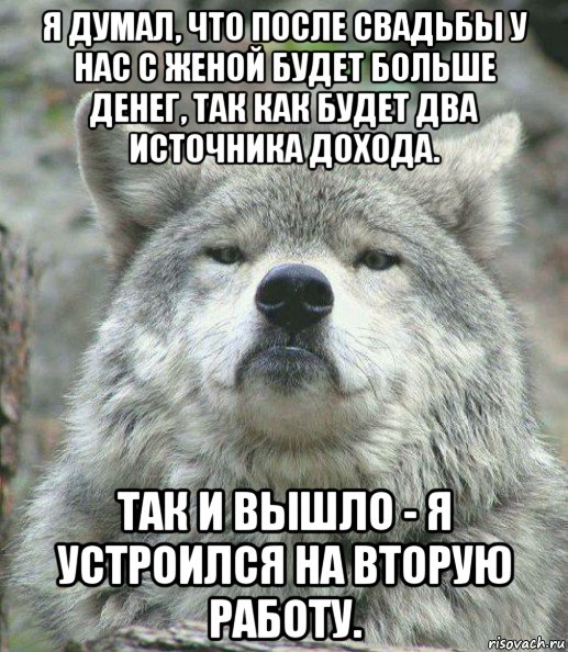 я думал, что после свадьбы у нас с женой будет больше денег, так как будет два источника дохода. так и вышло - я устроился на вторую работу., Мем    Гордый волк